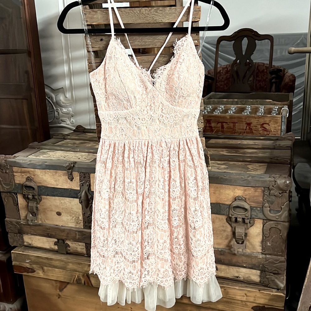 Trixxi Clothing Co. Blush Lace Dress from Bloomingdale’s - Gorgeous!